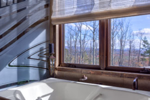 Bathroom Window Treatment