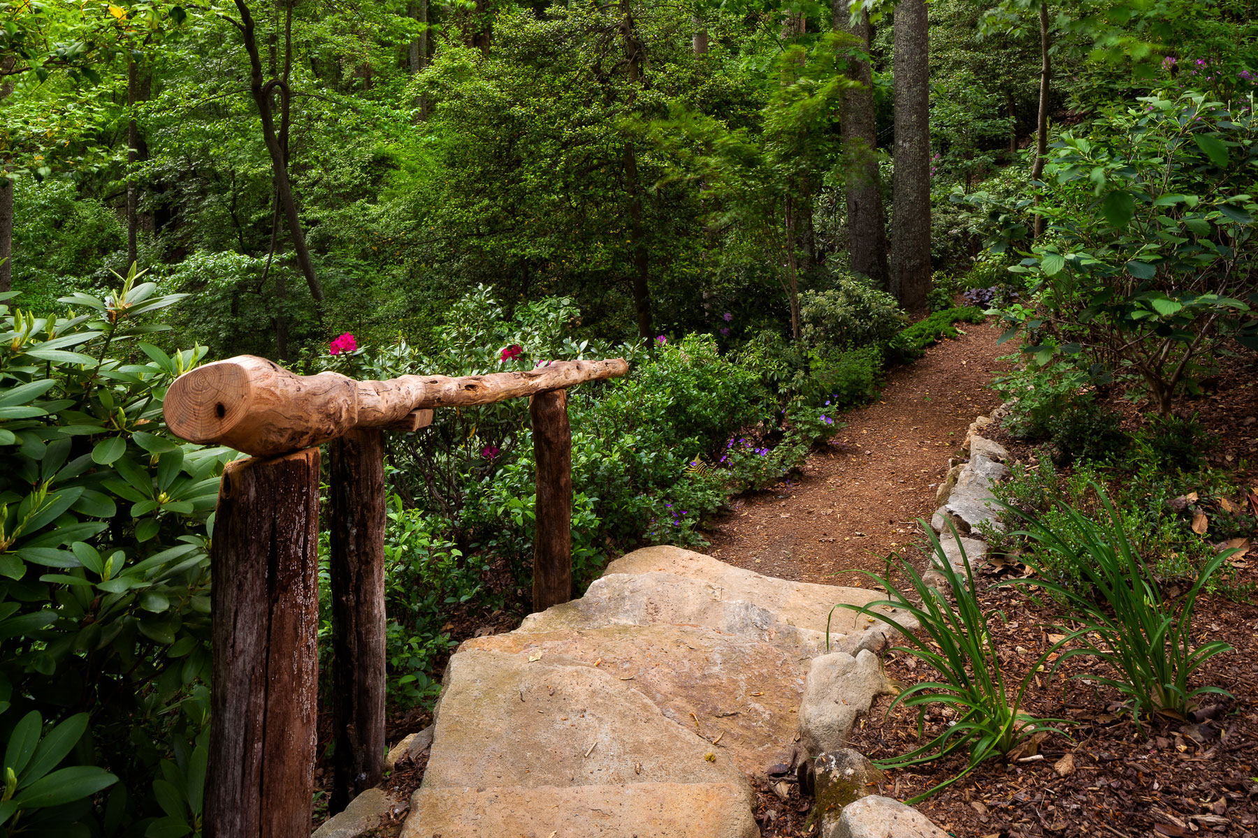 Nature trail in Asheville Mountain Estate home