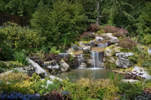 Fish pond water feature