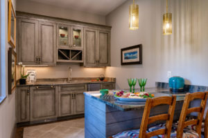 Wet bar in basement with concealed dishwasher