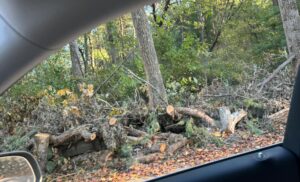 Asheville roadside cleared tree debris after Hurricane Helene 2024