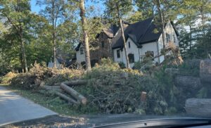 Asheville roadside fall trees in The Ramble after Hurricane Helene 2024